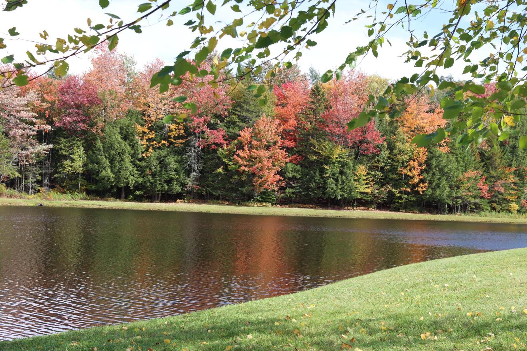 Deerfield Valley Inn - Mt Snow Dover Esterno foto